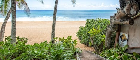 Welcome to the beach just behind Banzai Surf Escape. Relax here!