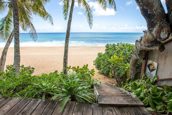 Welcome to the beach just behind Banzai Surf Escape. Relax here!