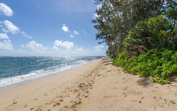 Enjoy walks at the beach just walking distance from the studio and enjoy a quick swim on calm waters.