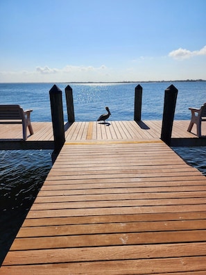 Pelicans all around with some of the deepest water in the river and great fishing spot.