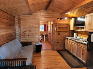 Front room with double bed futon, mini-kitchen, Dish TV