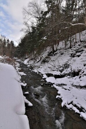 Beautiful flowing creek in the backyard