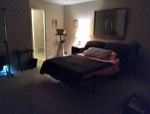 Suite B family room/living room/3rd bedroom includes sofa bed 103-B