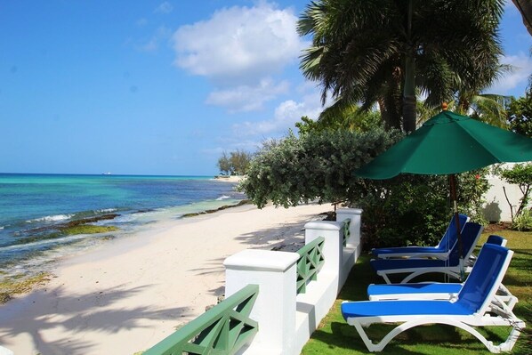 Welcome to our studio! A cozy beachfront space on the South Coast