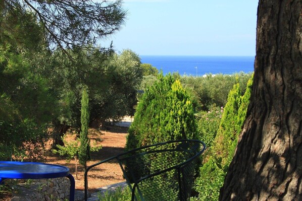 Sea view from Sydney garden
Vista mare dal giardino di Sydney 