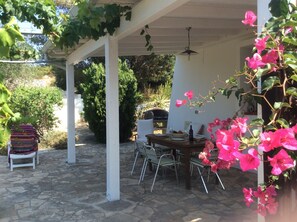 Patio with outdoor shower and masonry barbecue