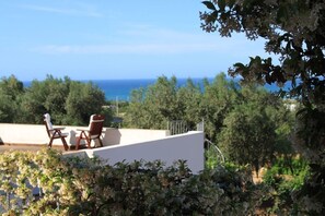 Buganville's roof terrace (from the upper terrace of the villa)