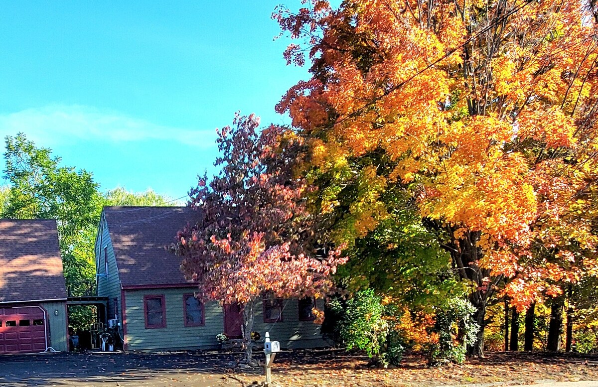 Main Image