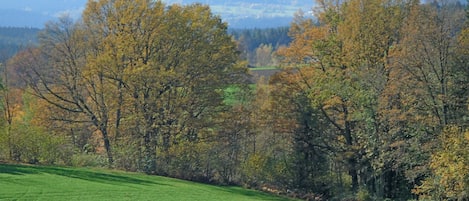 Aussicht von der Wohnung Waldblick, Wiesengrund und Rothbachblick