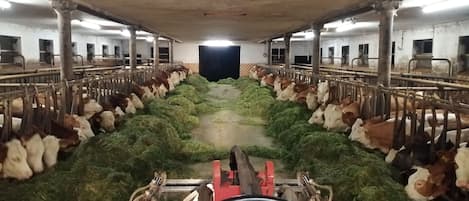 施設の敷地