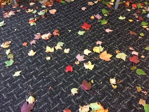 Miscellaneous