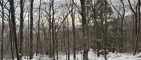 Winter views from the private back porch 