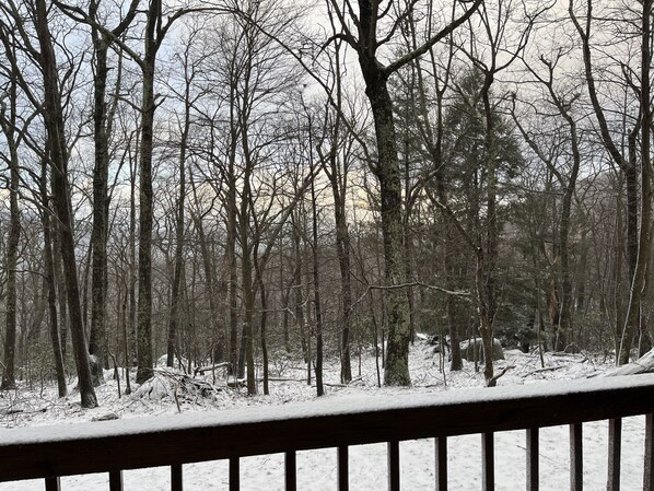 Winter views from the private back porch
