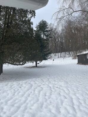 Back view of yard with snow