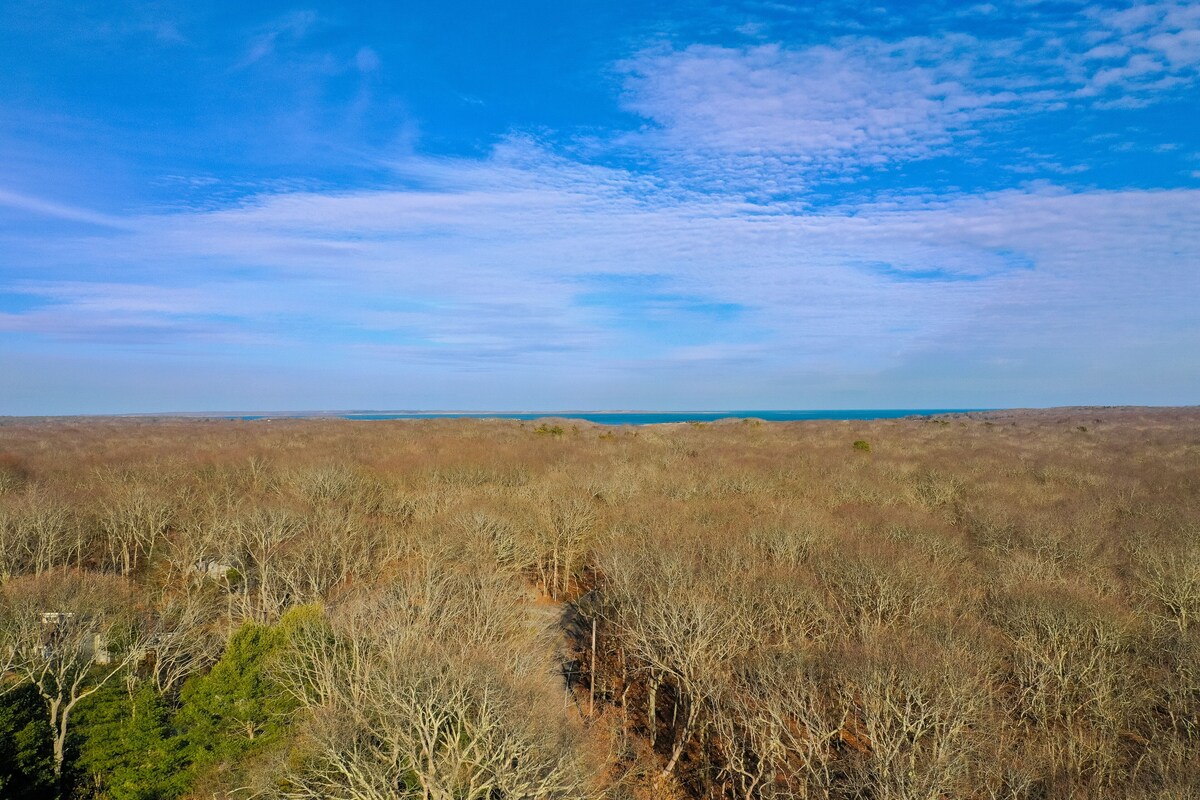 Dog-friendly, secluded cottage near beach with fenced yard, pool, & 2 fireplaces