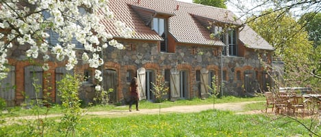 Garten im Frühling