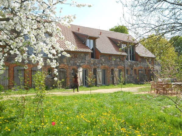 Garten im Frühling