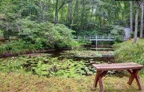 Gorgeous pond on property