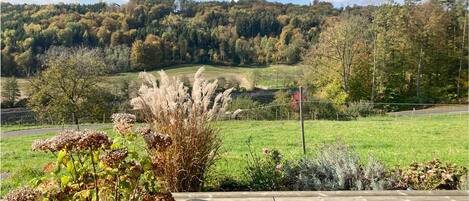 Terrain de l’hébergement 