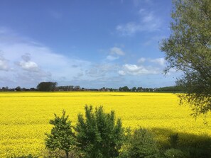 Ausblick