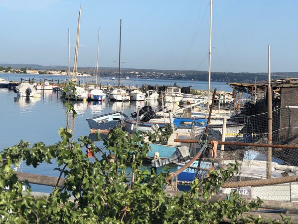 Marina