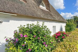 Außenseite Ferienhaus [Sommer]