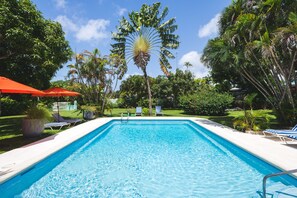 Our private salt water pool in an acre of tropical garden 