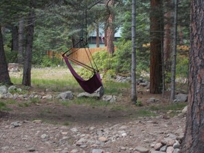 Tree swing in the front yard