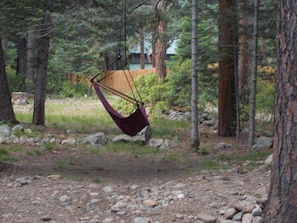 Tree swing in the front yard