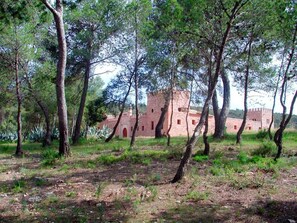 Vista desde el bosque