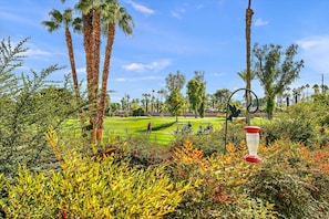 The patio right above the 14th teebox of Avondale Country Club.