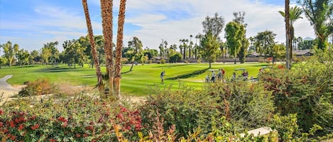 The patio right above the 14th teebox of Avondale Country Club.