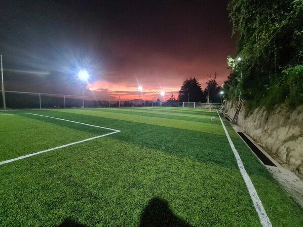 Sport court