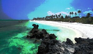 our beach rent-in-zanzibar.c