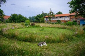 Fewo Frida, Steinkreis im Garten