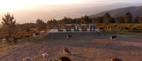 Terrain de l’hébergement 