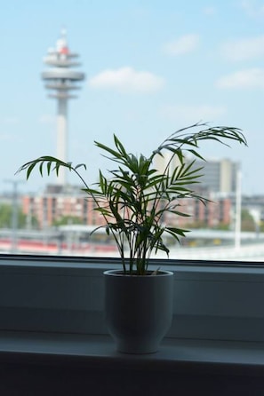Blick von der Unterkunft