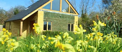 Cottage in Spring.
