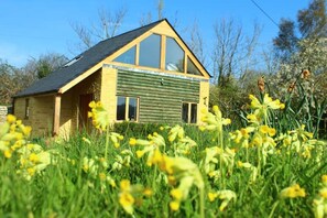 Cottage in Spring.
