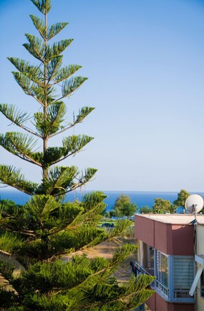 Vista dalla camera