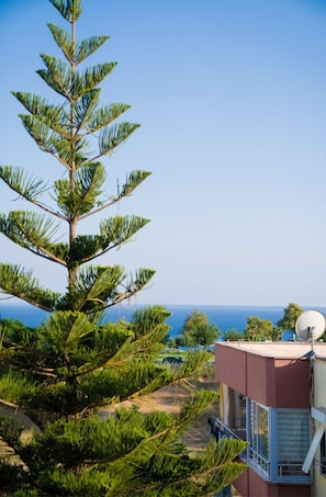 Vista dalla camera
