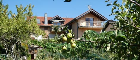 Hausansicht vom Garten aus