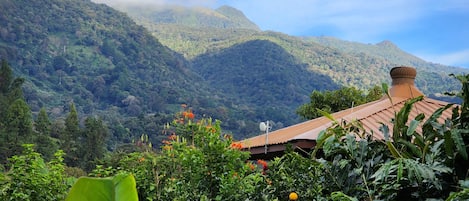 Terrenos do alojamento