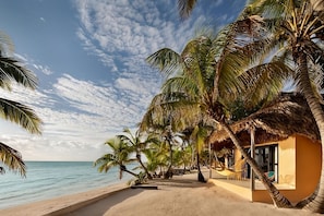 Beach View