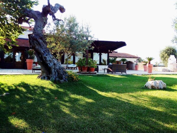 Terrace/patio