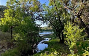 Pond Entry