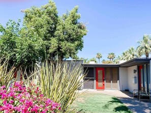 Our beautiful condo complex! Palm trees, bougainvilleas, barrel cactuses, and large shade trees. 