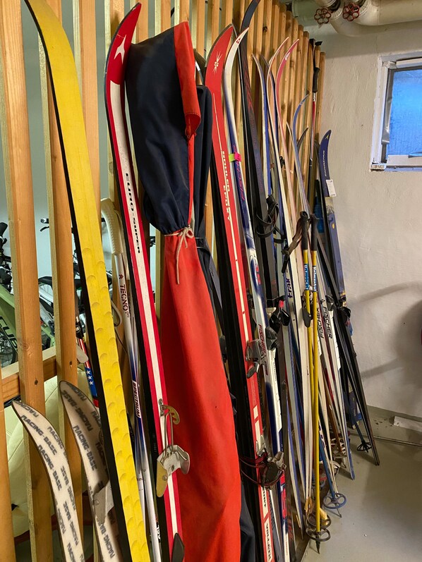 Wintersport/Ski