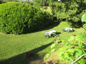 Boendeområde