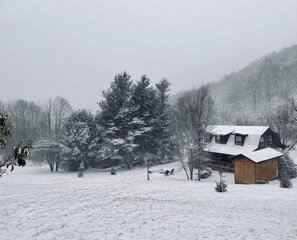 Snowfall December 2022.